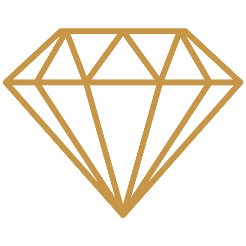 premium icon